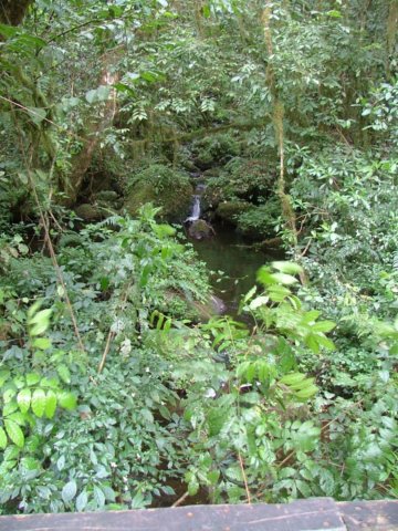 hiddenwaterfall.jpg