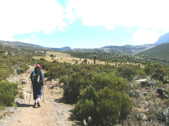 trail3.jpg