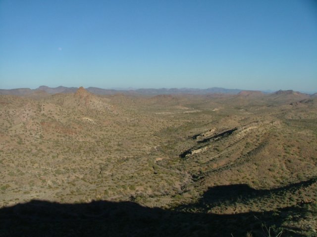 sonorandesert.jpg