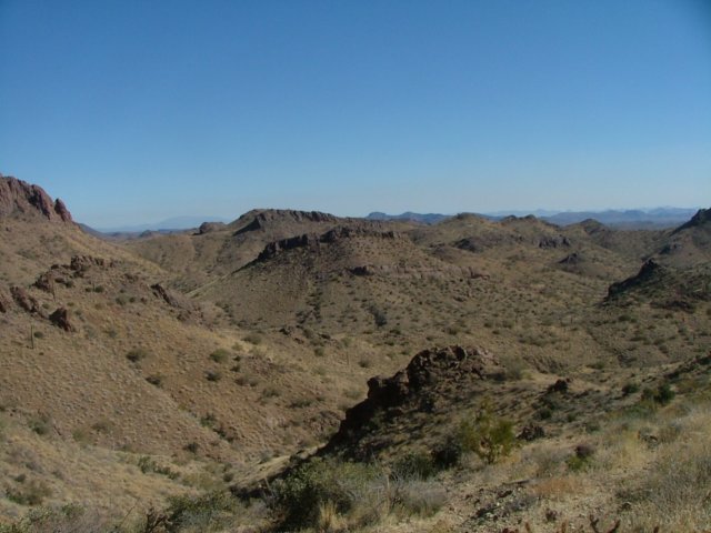 sonorandesert5.jpg